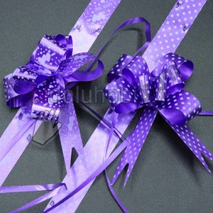 Paket Süsü Pratik Fiyonk 10'lu 35 cm Lila