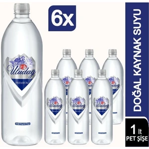 Premium Su 1000 ml Pet Şişe 6 Lı