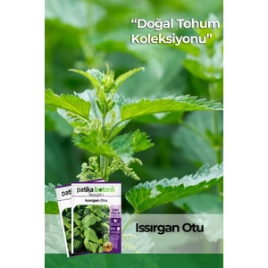 Patika Botanik 100 Adet Isırgan (Urtica Dioica) Tohumu