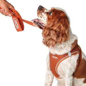 Lusi Doog Kişiye Özel Airmesh Göğüs Tasması Isimli Göğüs Tasması