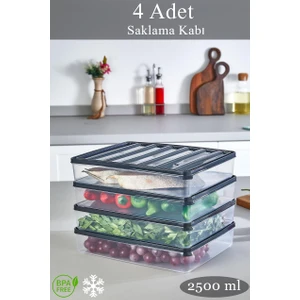 Krm Home 4 Adet 2,5 Litre Dondurucu, Bakliyat, Yemek Kabı, Piknik Kahvaltı Taze Gıda Saklama Kabı