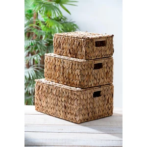 Wicker 3 Lü Dekoratif Kapaklı Hasır Sepet
