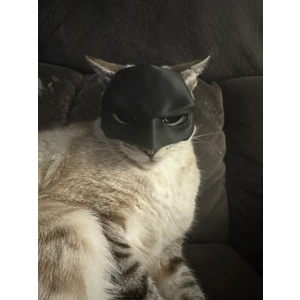 Kedi Batman Maskesi Kıyafeti