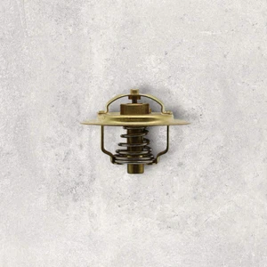 11409509074 Termostat 74C Wahler Typ. - Favorıt-Felıcıa