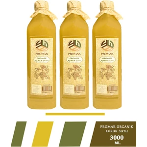 Koruk Suyu Ekşisi 3 x 1 Lt