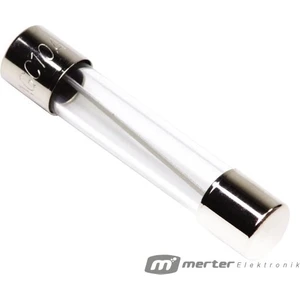 Cam Sigorta Büyük 5 Amper (100 Adet) 6X30MM