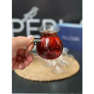 Tombik 6'lı Kulplu Borcam Çay Bardağı