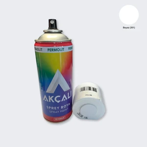 301 Beyaz Sprey Boya