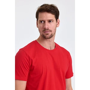 Combine Michail Erkek Slim Fit  Pamuk Bisiklet Yaka Basic Tişört Kırmızı