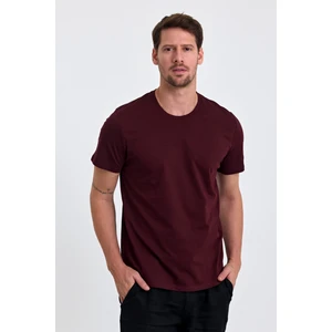Combine Michail Erkek Slim Fit  Pamuk Bisiklet Yaka Basic Tişört Bordo