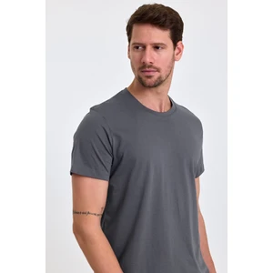 Combine Michail Erkek Slim Fit  Pamuk Bisiklet Yaka Basic Tişört Füme