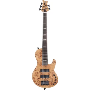 Marcus Miller F10 5 Telli Bas Gitar Nts