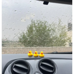 3'lü Mini Ördek Set - Araç Içi Aksesuar Sevimli Ördekler