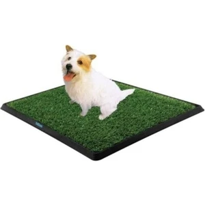 Bay Toptan Köpek Tuvalet Eğitim Seti