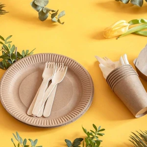Karton Kağıt Tabak 18 cm (20 Adet)