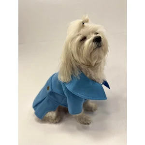 Mavi Kaşe Küçük Irk Köpek Kabanı