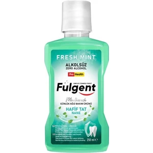 Fresh Mint Moutwash Mentol Nane Ferahlığı Ağız Bakım Suyu 500 ml