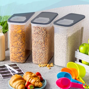 Sandy Organizer Seti 3'lü Çok Amaçlı Gri Kapaklı 5.7lt 241635