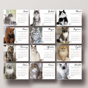 Dikkat Ajans 2025 Kedi Mini Takvimi (2 Set)
