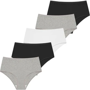 Giorgina Ferri Likralı 5'Li Kutu Yüksek Bel Külot Berry G-007 A