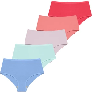 Giorgina Ferri Likralı 5'Li Kutu Yüksek Bel Külot Berry G-007 D