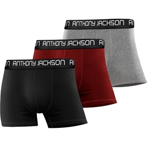 Anthony Jackson Likralı 3'lü Kutu Premium Erkek Boxer Sandro