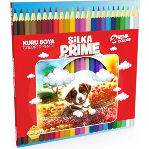Prime Karton Kutu Kuru Boya Kalemi Tam Boy 24 Renk ART.1048