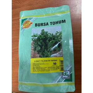 Bursa Tohum Iri Yaprak Maydanoz Tohumu 500GR