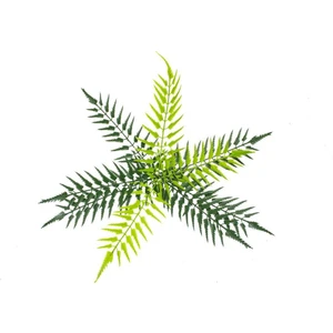 Güleç Yapay Çiçek Yapay Eğrelti Otu Çiçeği Açık Yeşilli 50 cm