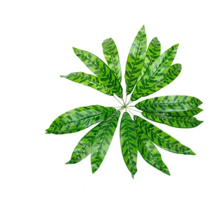Güleç Yapay Çiçek Yapay Çiçek Kılıç Yaprak Aglaonema  Bitkisi