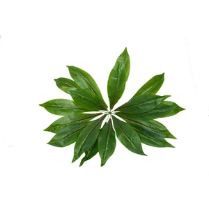 Güleç Yapay Çiçek Yapay Çiçek Kılıç Yaprak Yeşil