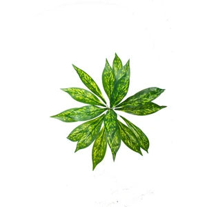 Güleç Yapay Çiçek Yapay Yeşillik Aglaonema Bitkisi