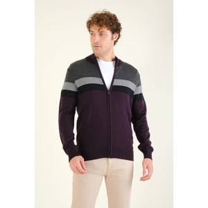 Giyim Dünyası Erkek Dik Yaka Fermuarlı Renki Hırka Mor