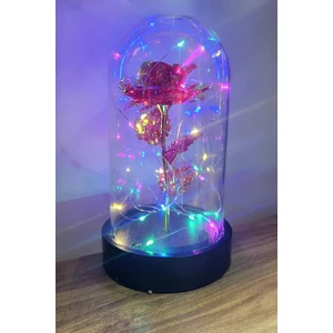 Siyah Tabanlı LED Işıklı Sevgililer Günü Solmayan Sonsuzluk Gülü Fanuslu Gece Lambası