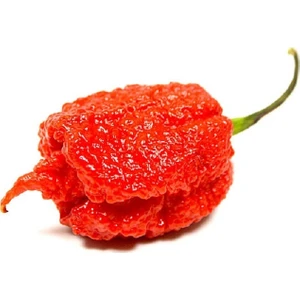 Murat Tohumculuk Murattohumculuk Dünyanın En Acı Biber Tohumu Ekim Seti (Carolina Reaper)