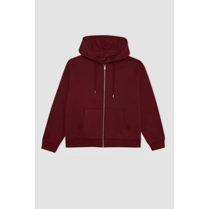 Relax Fit Kapüşonlu Cepli Basic Düz Fermuarlı Sweatshirt C1809AX24WN