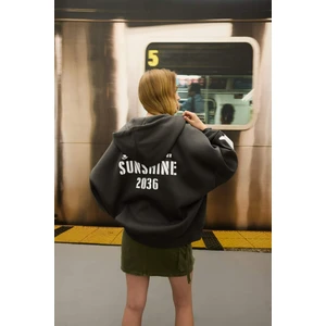 Oversize Geniş Kalıp Kapüşonlu Sırt Baskılı Kanguru Cepli Kalın Kumaş Fermuarlı Sweatshirt D6754AX24WN