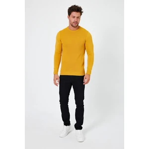 Alexander Gardi Bisiklet Yaka Regular Fit Kazak (E24-EZE-03)