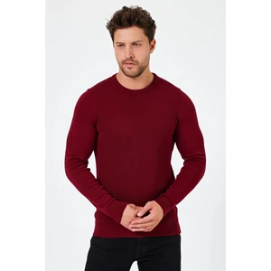 Alexander Gardi Bisiklet Yaka Regular Fit Kazak (E24-EZE-03)