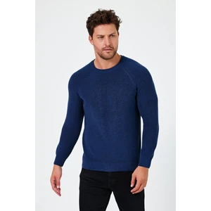 Alexander Gardi  Bisiklet Yaka Regular Fit Kazak (E24-EZE-07)