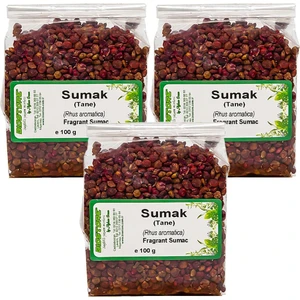 BioStore Tane Sumak 100 Gx3 Adet