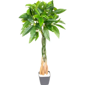 Yapay Fortune Gerçek Dokulu 98 Cm.