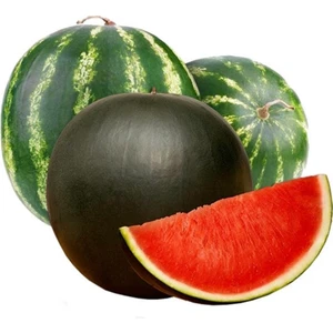 Çekirdeksiz Karpuz 4-5-kg