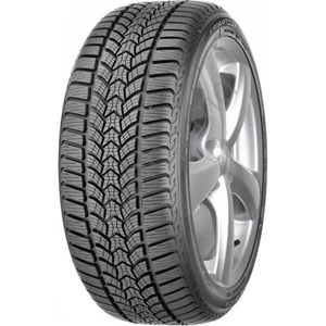 205/55 R17 95V Xl Frigo Hp 2 Oto Kış Lastiği (Üretim Yılı: 2024)