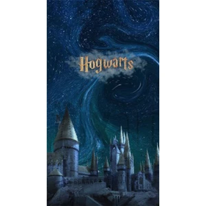 Hogwarts 40 x 60 Elmas Mozaik Tablo