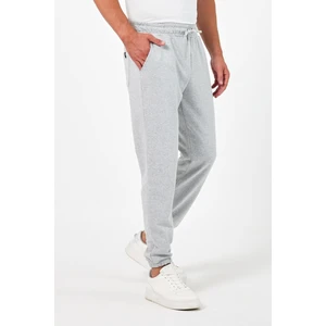 Kalın Gri Erkek Eşofman Altı Jogger Arka Cepli Lastik Paça Regular Fit Şardonsuz