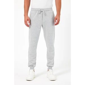 Kalın Gri Erkek Eşofman Altı Jogger Arka Cepli Paça Lastikli Regular Fit Şardonsuz