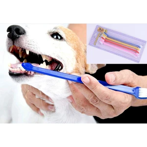 Çift Taraflı Kedi Köpek Diş Fırçası 4 Lü Set