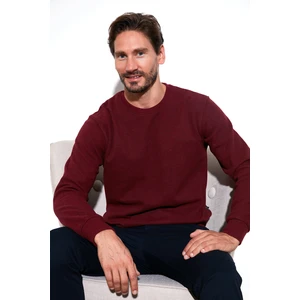 Slim Fit Bisiklet Yaka Pamuklu Kazak Erkek Kazak 456201