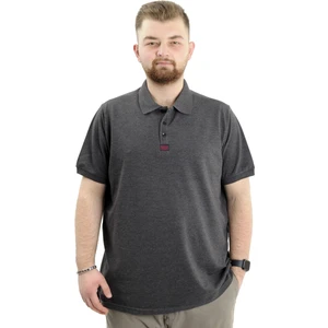 Büyük Beden Erkek T-Shirt Polo Yaka Klasik U24328 Antrasit
